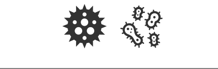 Ikone bakterija i virusa