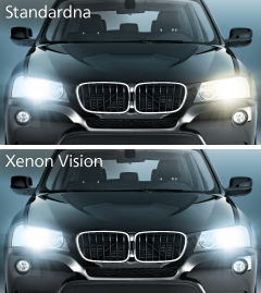 Vision versus standard